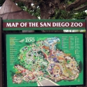 Visiting the San Diego Zoo